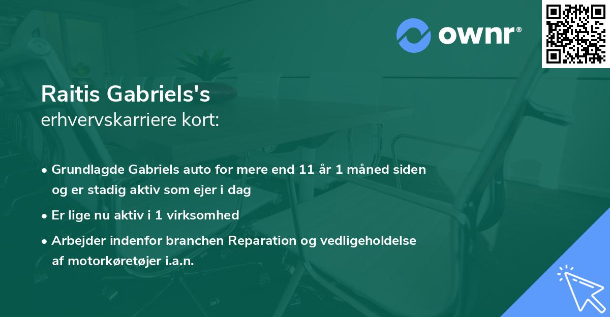 Raitis Gabriels's erhvervskarriere kort