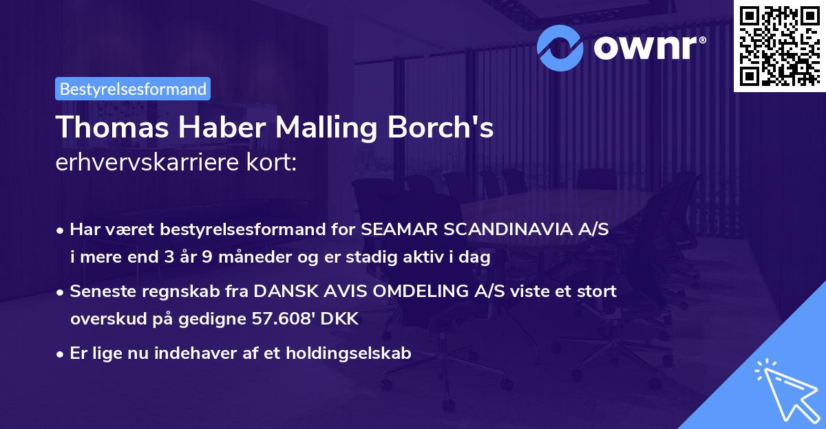 Thomas Haber Malling Borch's erhvervskarriere kort