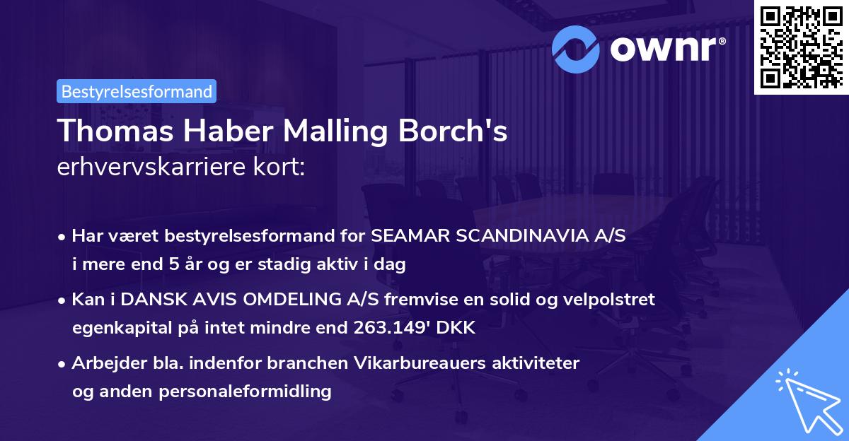 Thomas Haber Malling Borch's erhvervskarriere kort