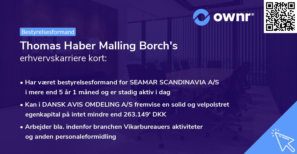 Thomas Haber Malling Borch's erhvervskarriere kort