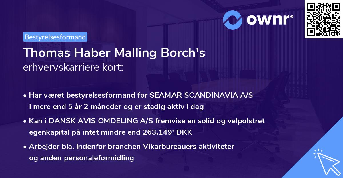 Thomas Haber Malling Borch's erhvervskarriere kort