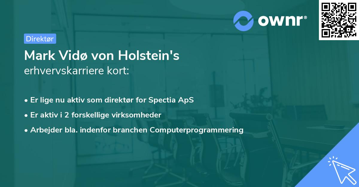 Mark Vidø von Holstein's erhvervskarriere kort