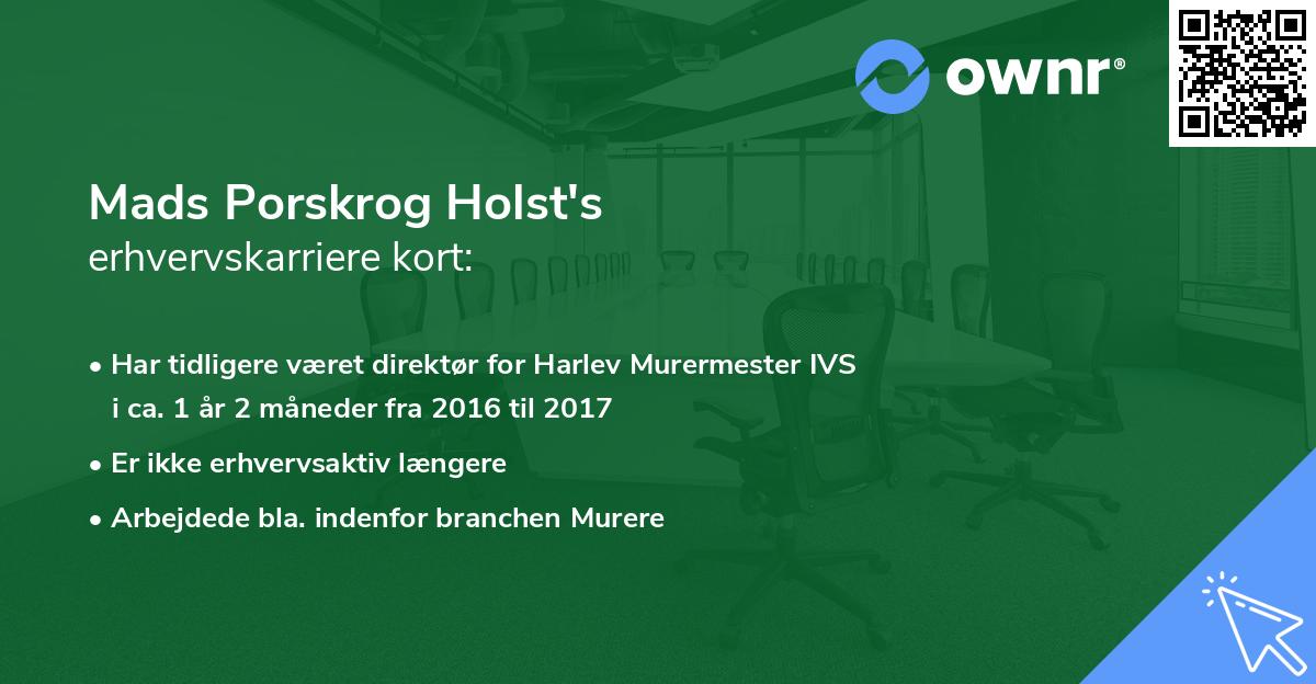 Mads Porskrog Holst's erhvervskarriere kort