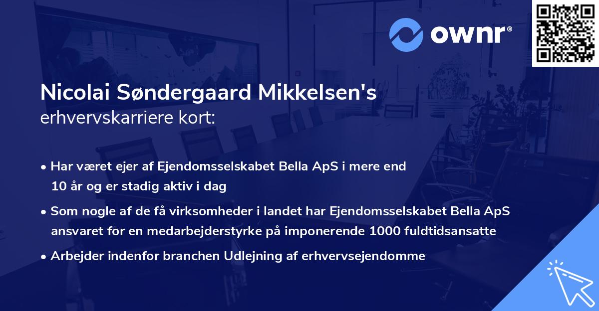 Nicolai Søndergaard Mikkelsen's erhvervskarriere kort
