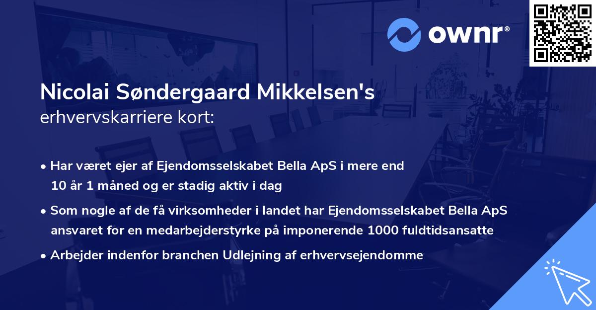 Nicolai Søndergaard Mikkelsen's erhvervskarriere kort