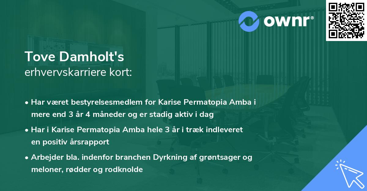 Tove Damholt's erhvervskarriere kort