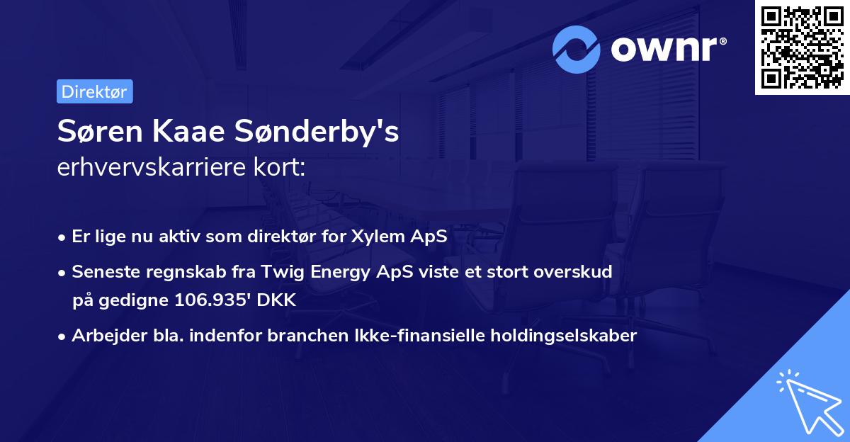 Søren Kaae Sønderby's erhvervskarriere kort