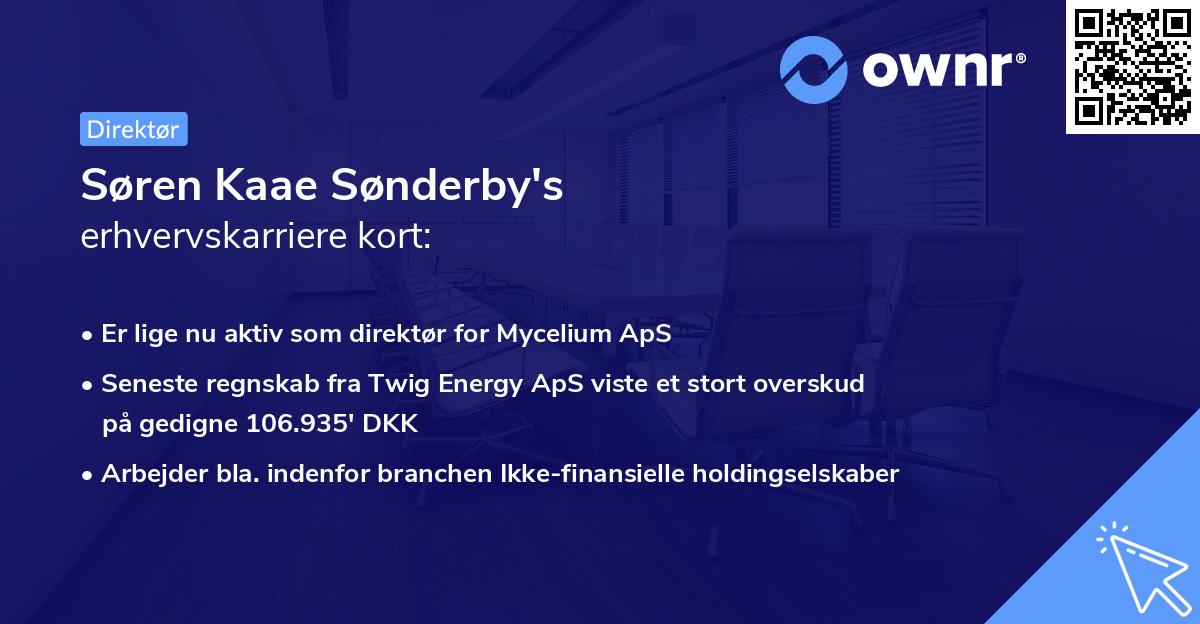 Søren Kaae Sønderby's erhvervskarriere kort