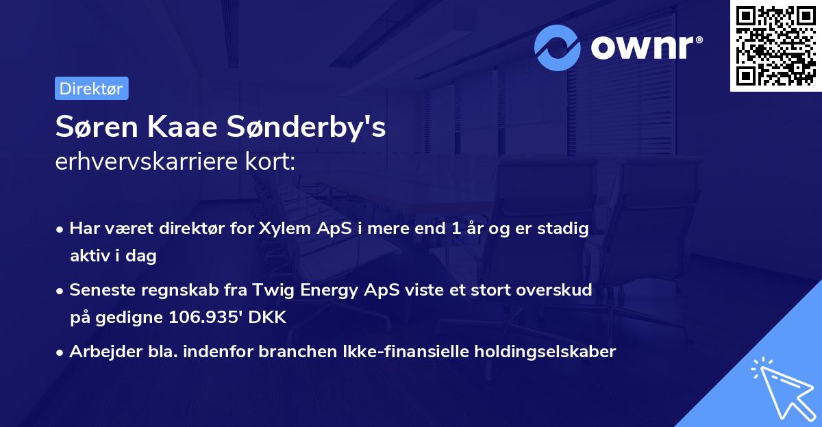 Søren Kaae Sønderby's erhvervskarriere kort