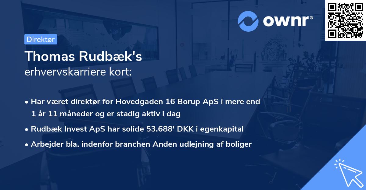 Thomas Rudbæk's erhvervskarriere kort