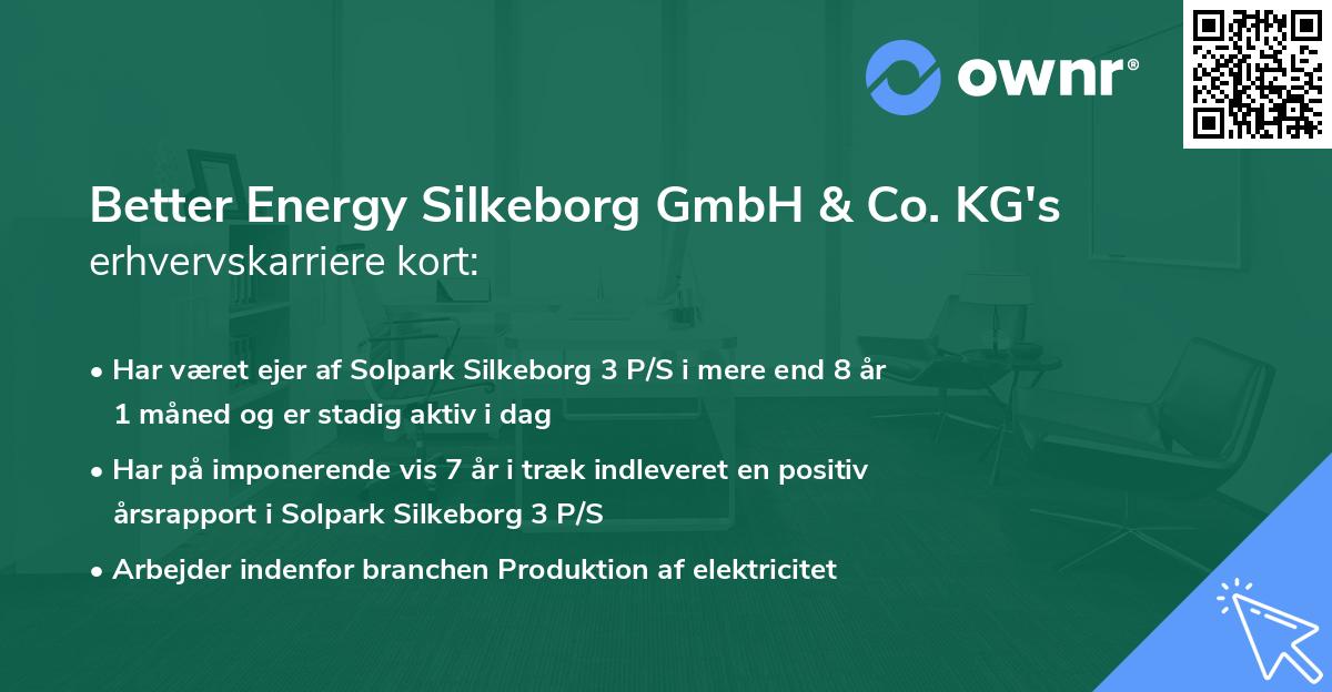 Better Energy Silkeborg GmbH & Co. KG's erhvervskarriere kort