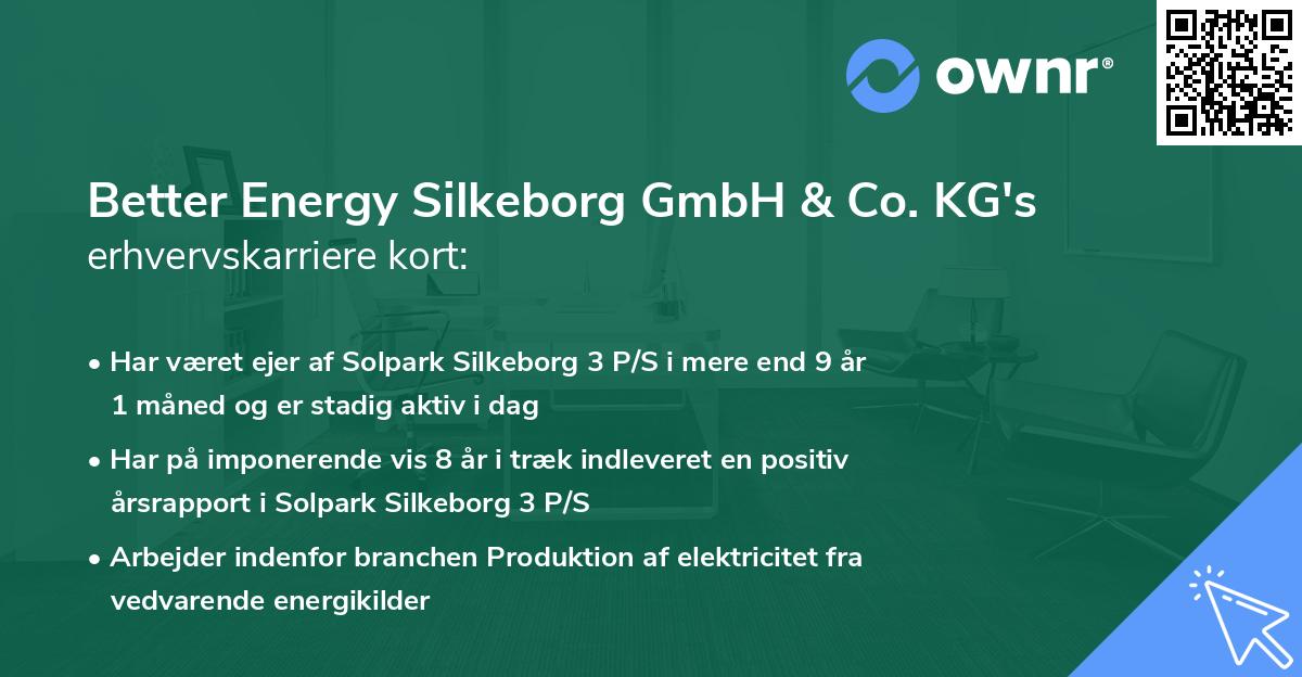 Better Energy Silkeborg GmbH & Co. KG's erhvervskarriere kort