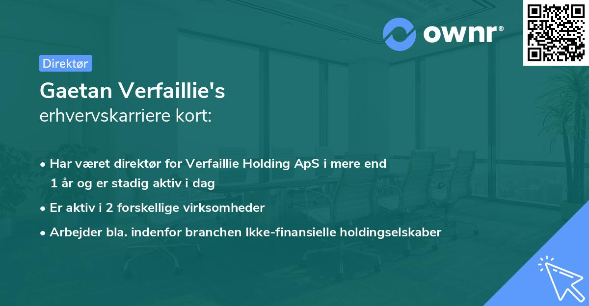 Gaetan Verfaillie's erhvervskarriere kort