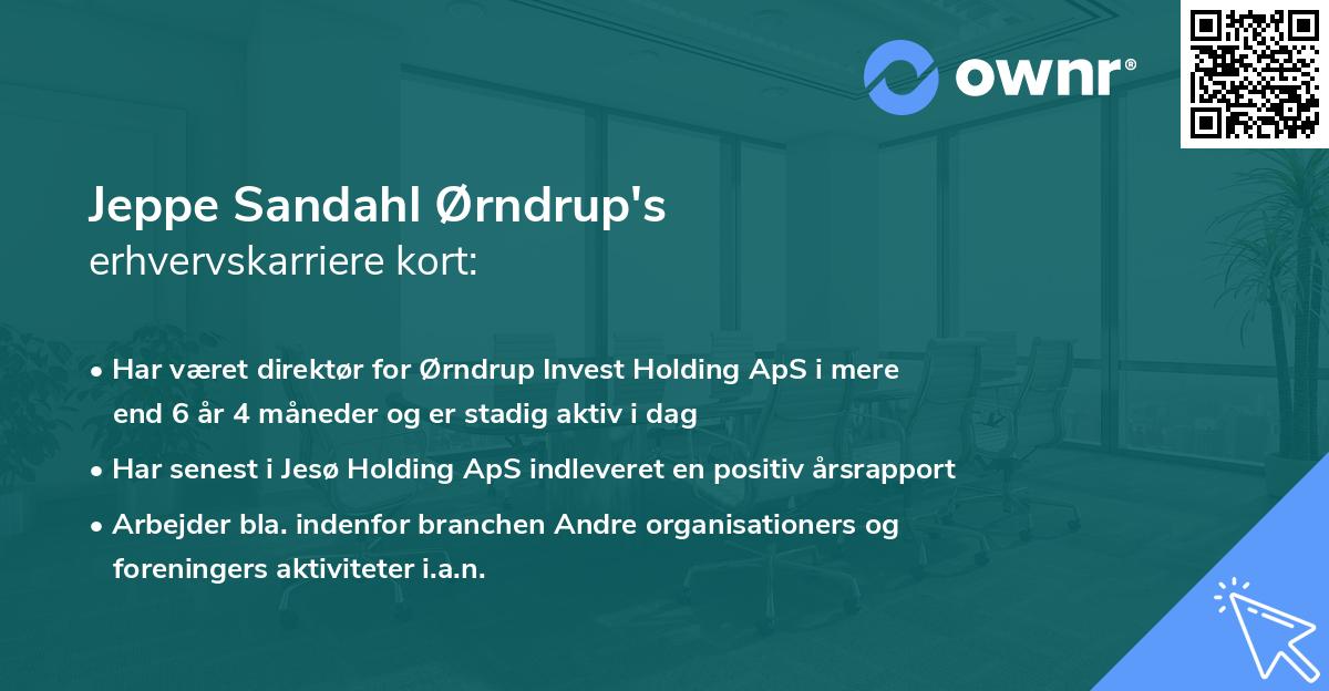 Jeppe Sandahl Ørndrup's erhvervskarriere kort