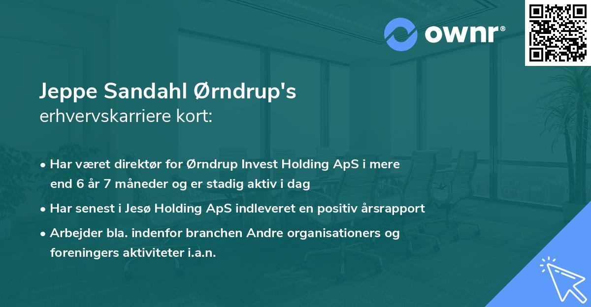 Jeppe Sandahl Ørndrup's erhvervskarriere kort