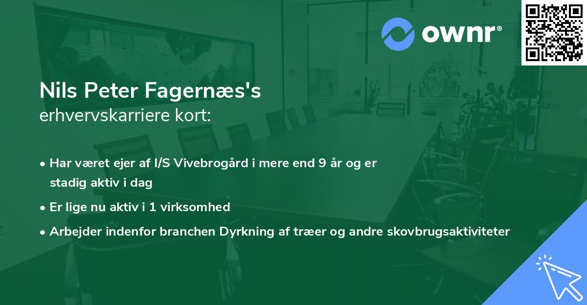 Nils Peter Fagernæs's erhvervskarriere kort