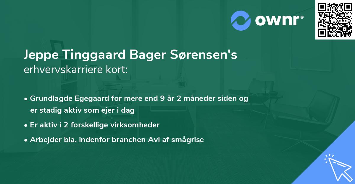 Jeppe Tinggaard Bager Sørensen's erhvervskarriere kort