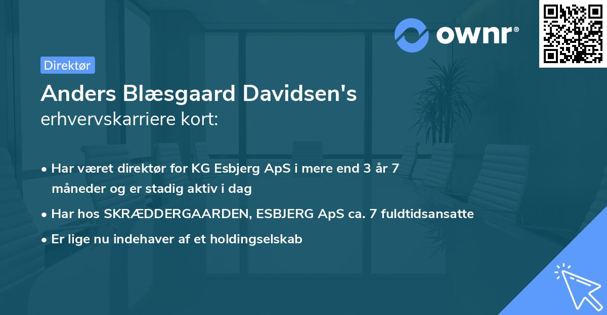 Anders Blæsgaard Davidsen's erhvervskarriere kort