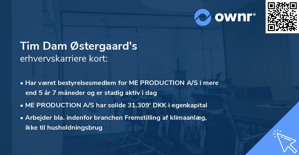 Tim Dam Østergaard's erhvervskarriere kort