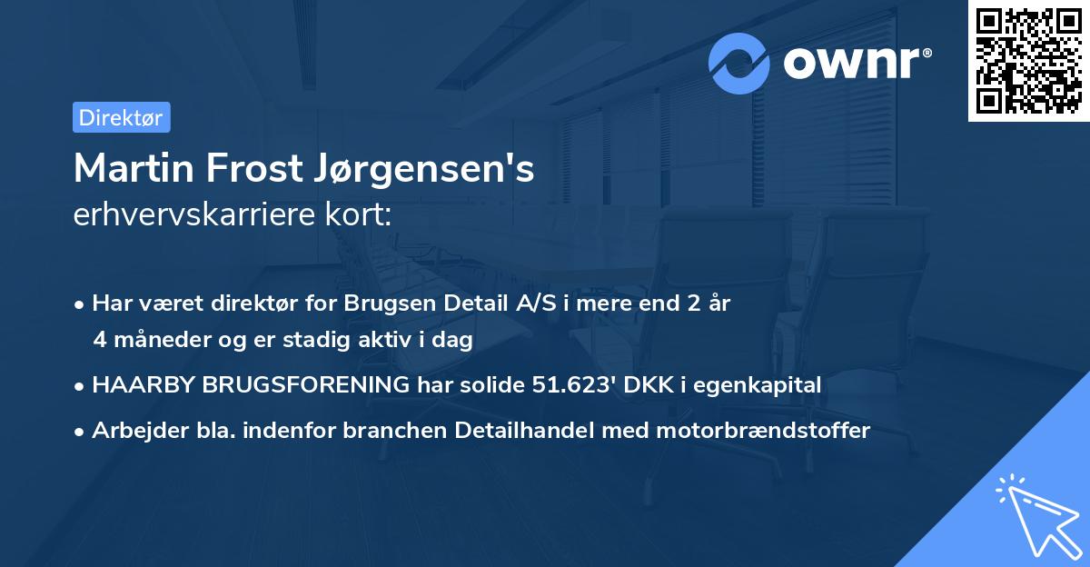 Martin Frost Jørgensen's erhvervskarriere kort