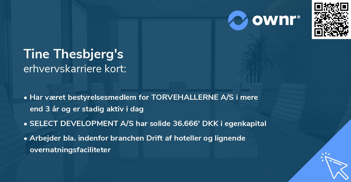 Tine Thesbjerg's erhvervskarriere kort