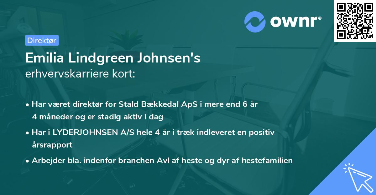 Emilia Lindgreen Johnsen's erhvervskarriere kort