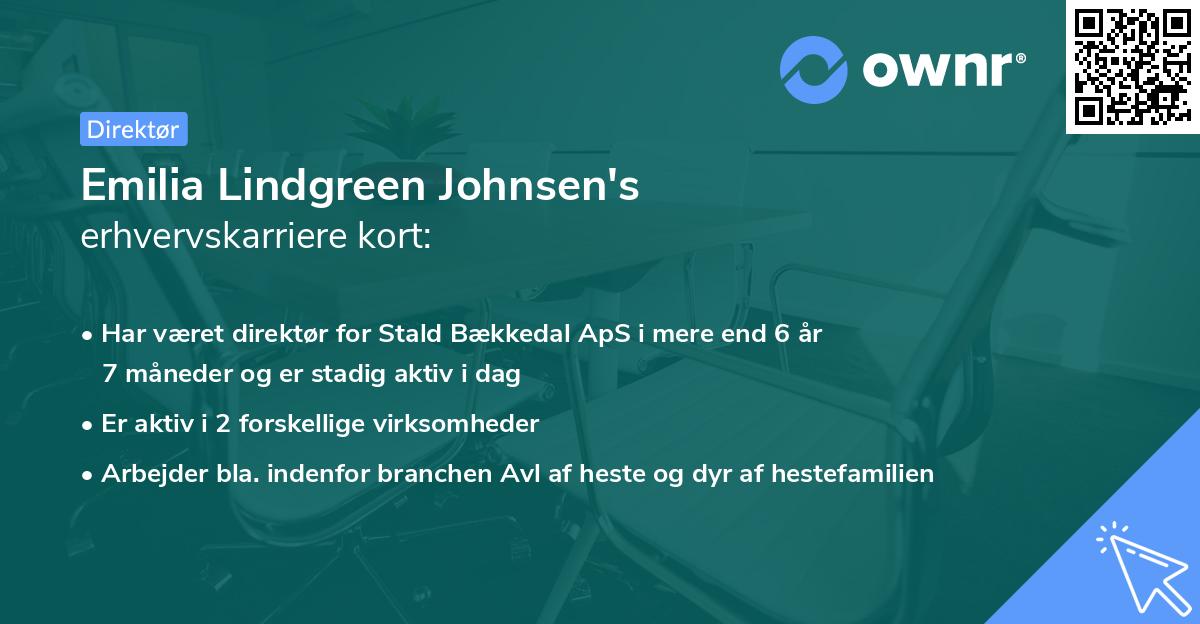 Emilia Lindgreen Johnsen's erhvervskarriere kort