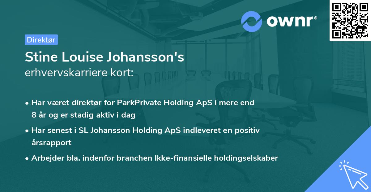 Stine Louise Johansson's erhvervskarriere kort