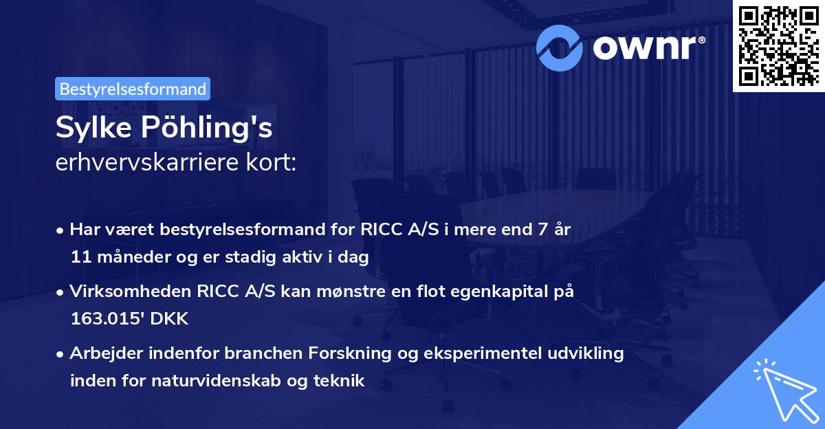 Sylke Pöhling's erhvervskarriere kort