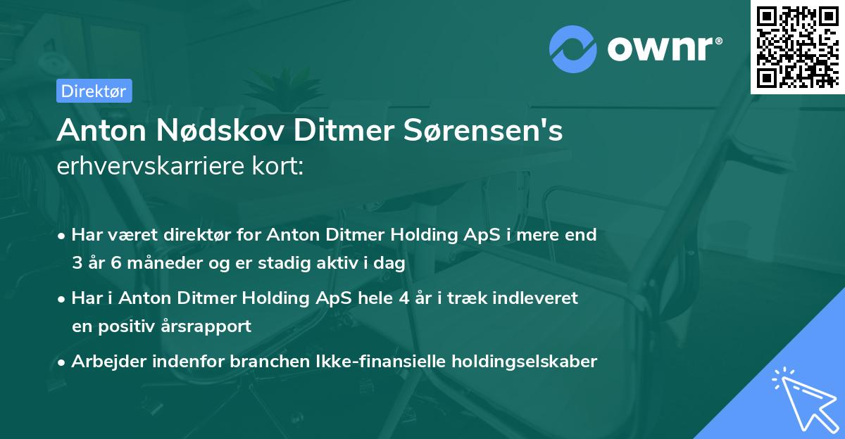 Anton Nødskov Ditmer Sørensen's erhvervskarriere kort