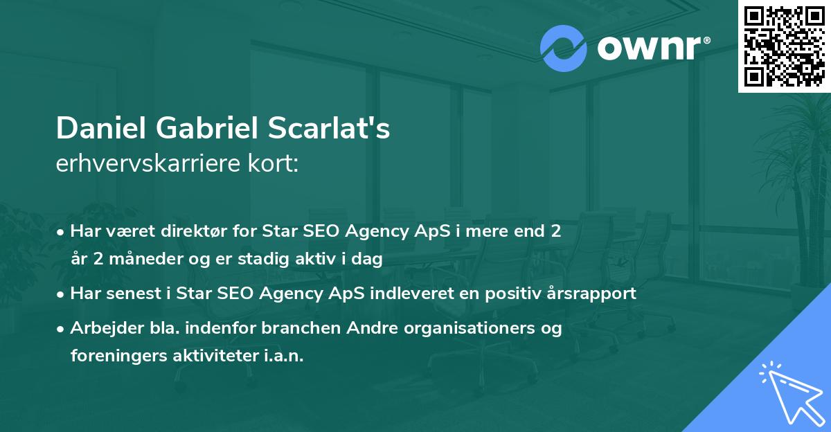Daniel Gabriel Scarlat's erhvervskarriere kort