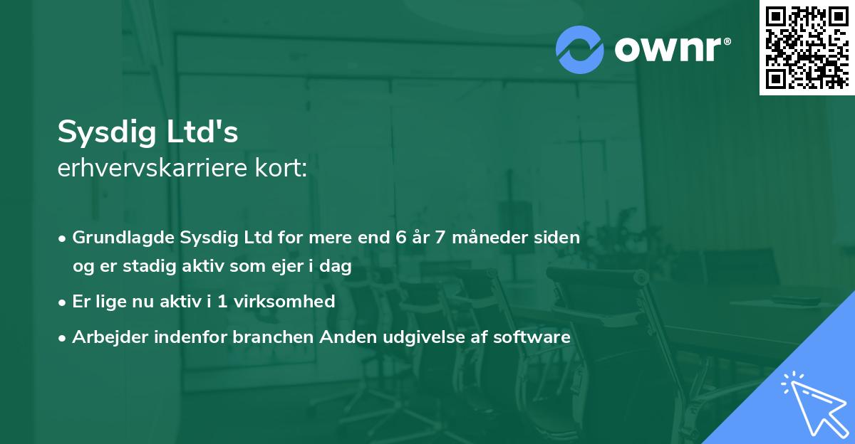 Sysdig Ltd's erhvervskarriere kort