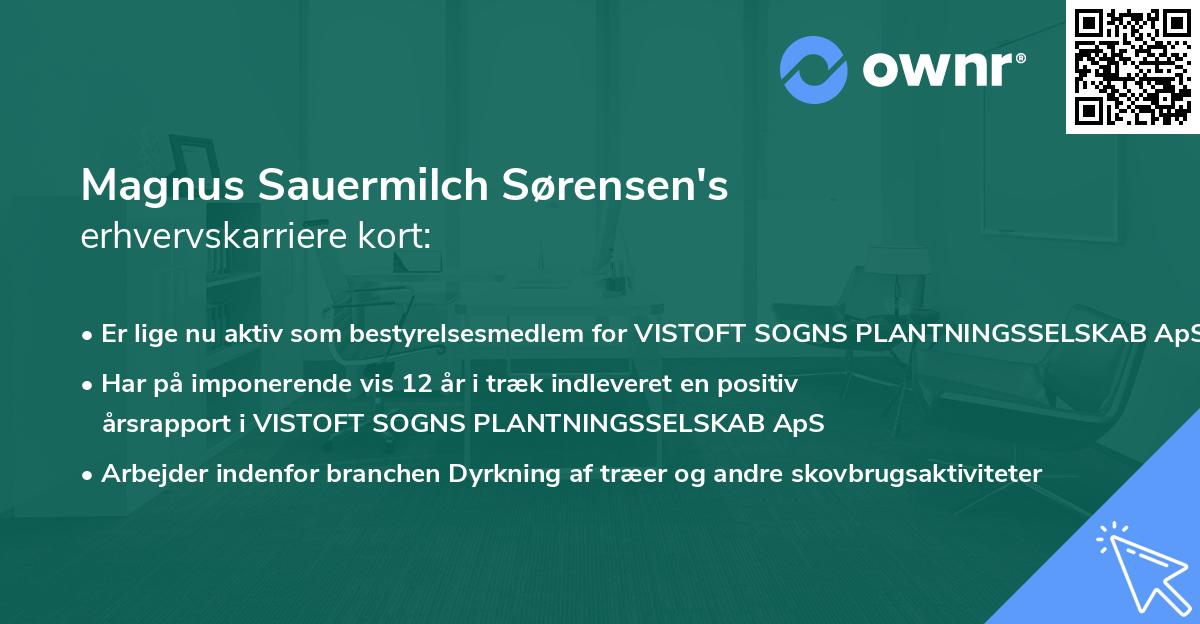 Magnus Sauermilch Sørensen's erhvervskarriere kort