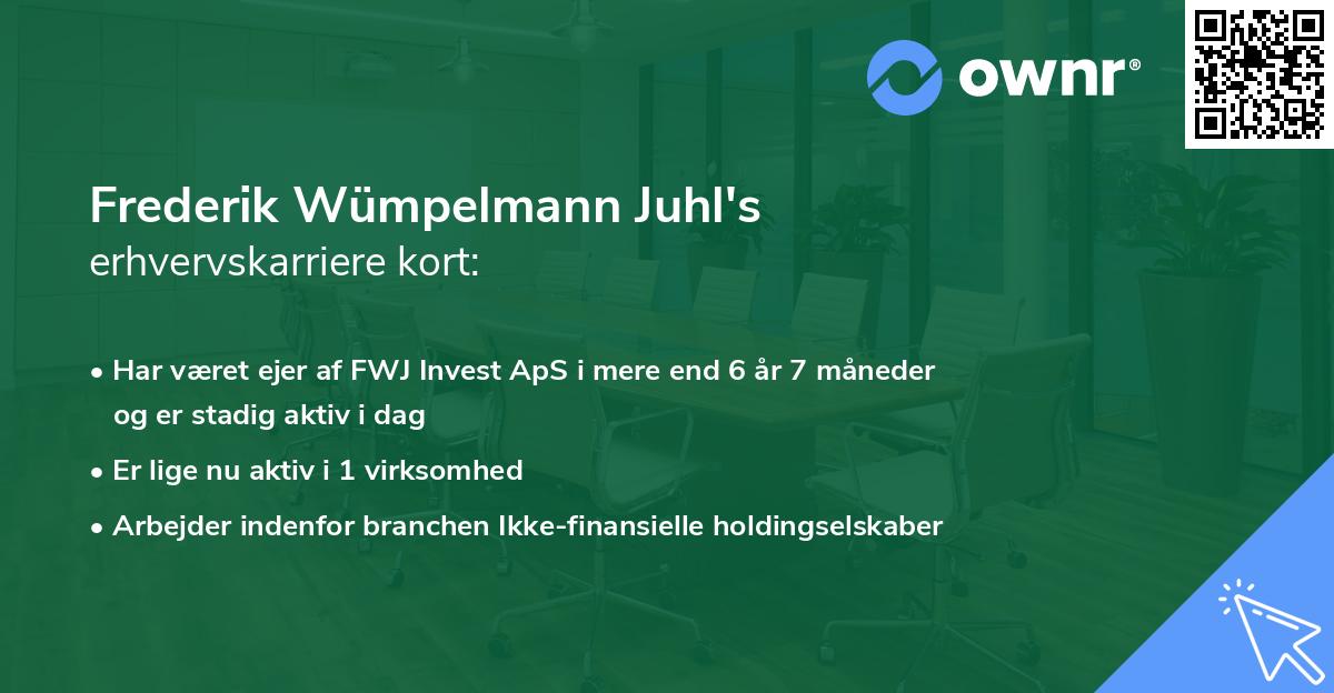 Frederik Wümpelmann Juhl's erhvervskarriere kort