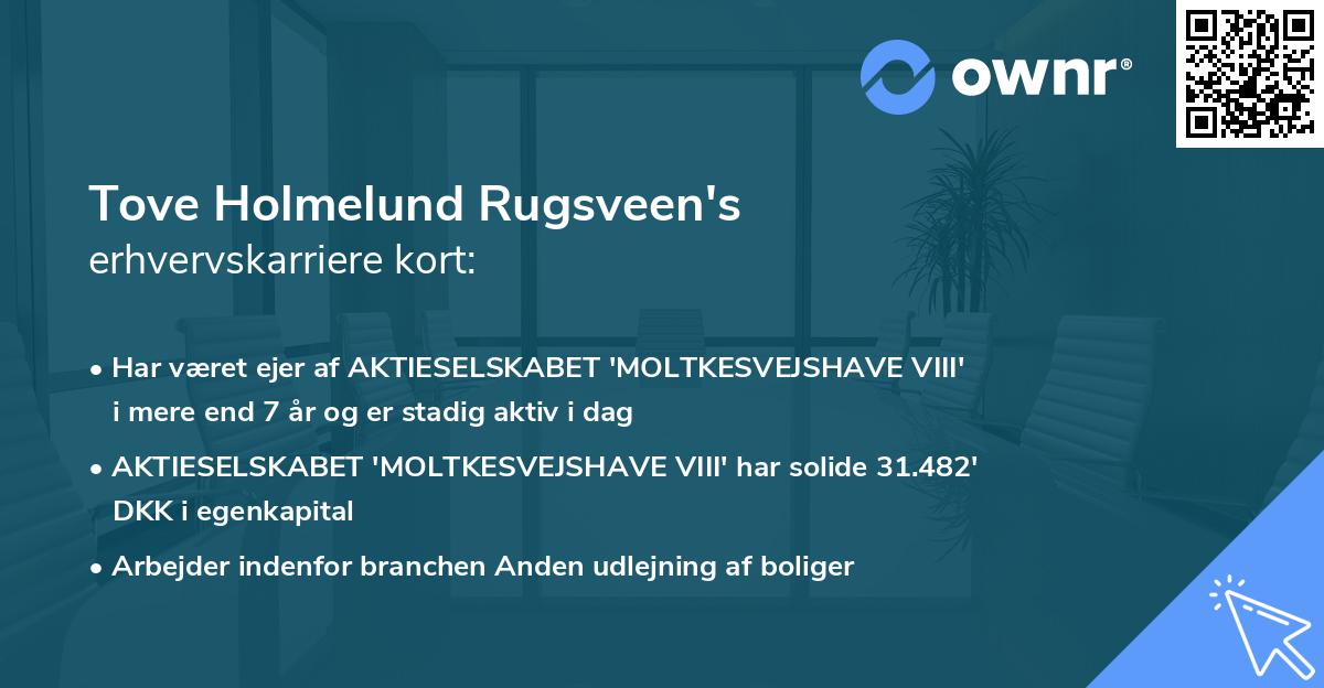 Tove Holmelund Rugsveen's erhvervskarriere kort