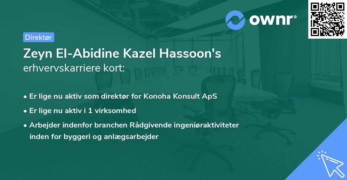 Zeyn El-Abidine Kazel Hassoon's erhvervskarriere kort