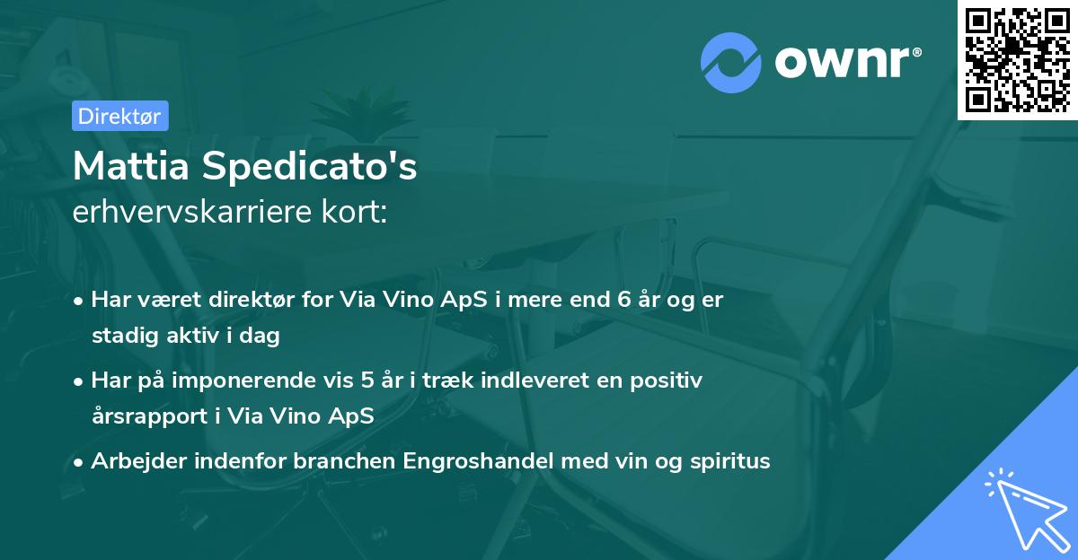Mattia Spedicato's erhvervskarriere kort