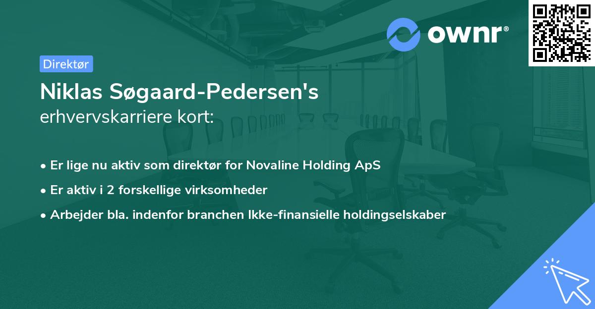 Niklas Søgaard-Pedersen's erhvervskarriere kort