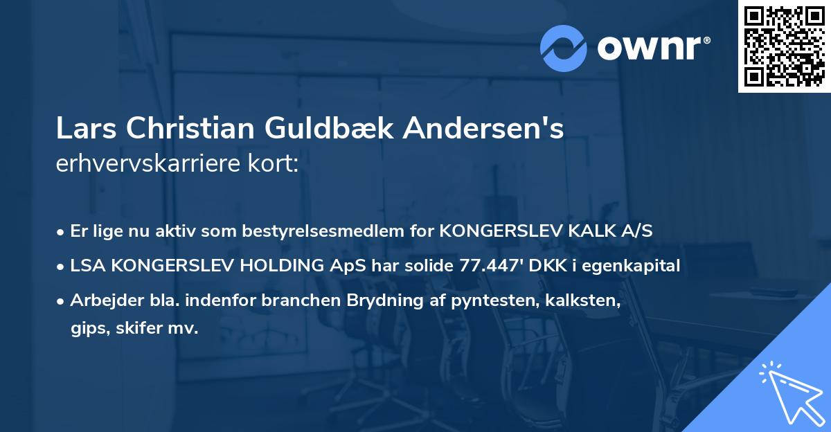 Lars Christian Guldbæk Andersen's erhvervskarriere kort