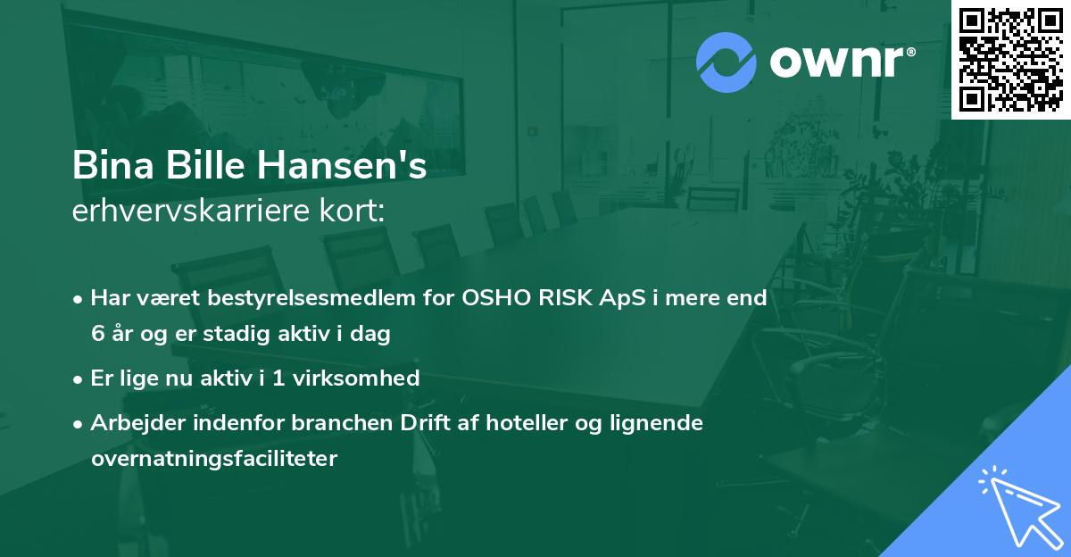 Bina Bille Hansen's erhvervskarriere kort