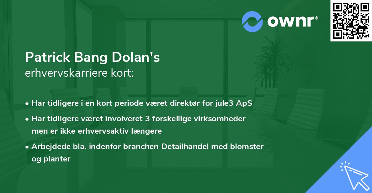 Patrick Bang Dolan's erhvervskarriere kort