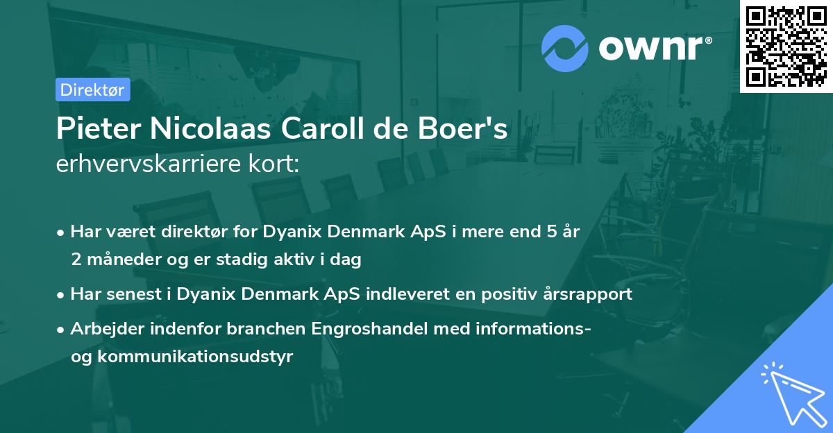 Pieter Nicolaas Caroll de Boer's erhvervskarriere kort