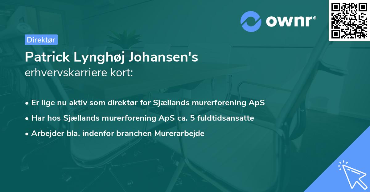 Patrick Lynghøj Johansen's erhvervskarriere kort