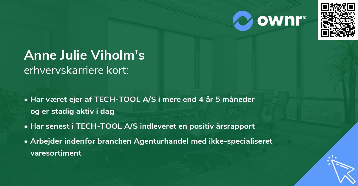 Anne Julie Viholm's erhvervskarriere kort