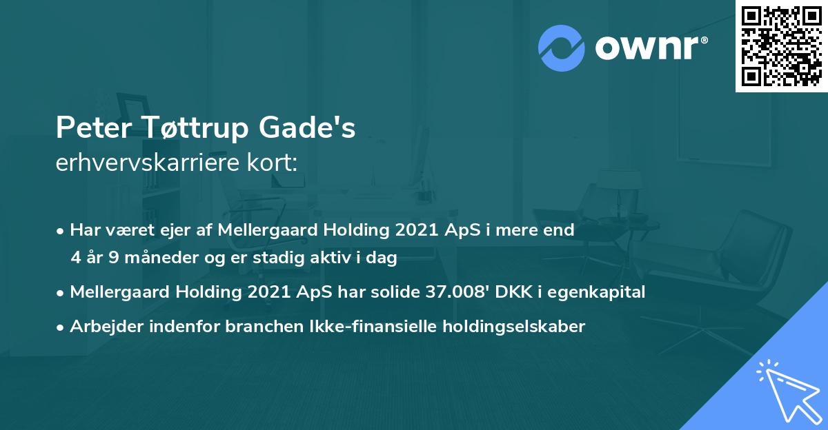 Peter Tøttrup Gade's erhvervskarriere kort