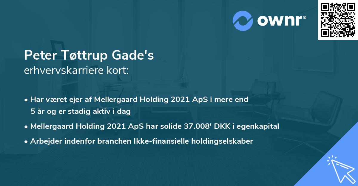 Peter Tøttrup Gade's erhvervskarriere kort