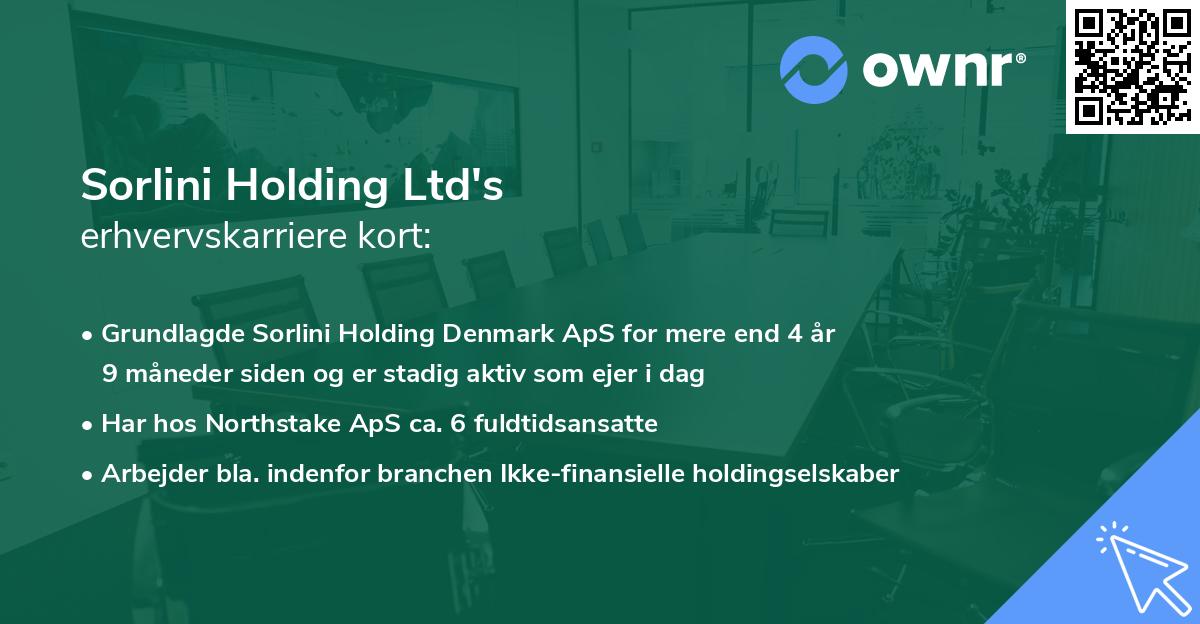 Sorlini Holding Ltd's erhvervskarriere kort