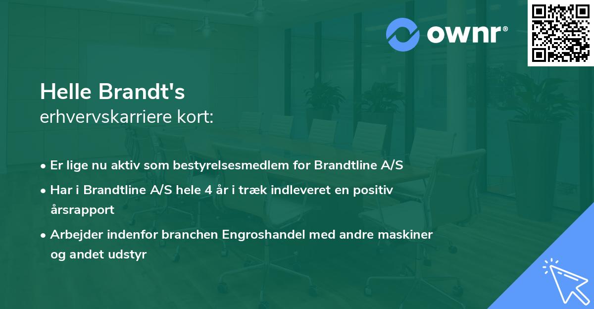Helle Brandt's erhvervskarriere kort
