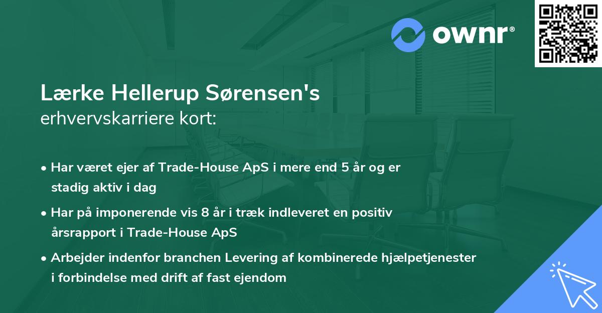 Lærke Hellerup Sørensen's erhvervskarriere kort
