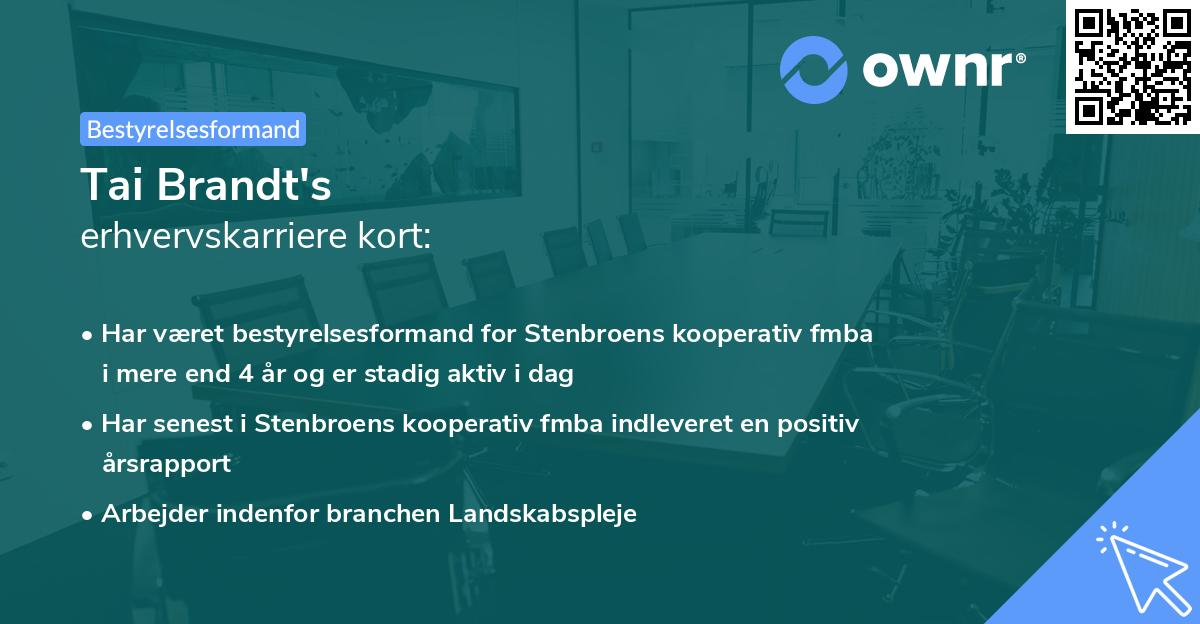 Tai Brandt's erhvervskarriere kort